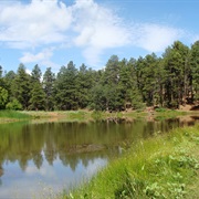 Prescott National Forest