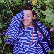 Harry Styles