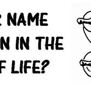 Given Your Life to Christ