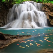 Waterfall