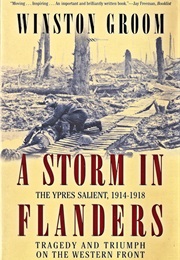 A Storm in Flanders (Winston Groom)