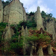 Podocarpus National Park, Ecuador
