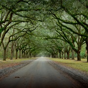 Wormsloe