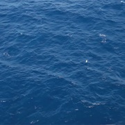 Pure Contentment Watching the Caribbean Flow By