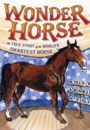 Wonder Horse (Emily Arnold McCully)
