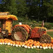 Kürbisausstellung Ludwigsburg