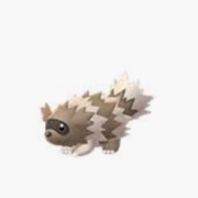 Zigzagoon