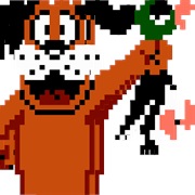 Duck Hunt Duck