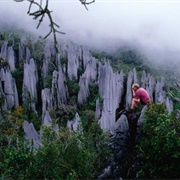 Gunung Mulu National Park, Malaysia