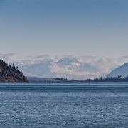 Padilla Bay, Washington