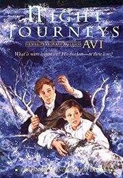 Night Journeys (Avi)