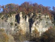 Larue-Pine Hills Ecological Area (Illinois)