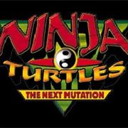 Ninja Turtles: The Next Mutation