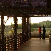 Stryker Winery Sonoma, CA