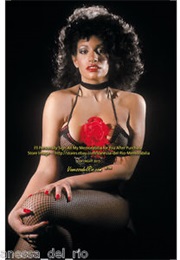 Porn Stars of the 80s (2008)