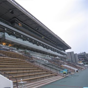 Sha Tin Racecourse