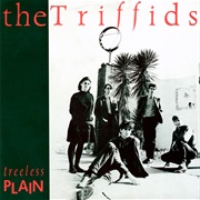 The Triffids - Treeless Plain
