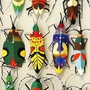 Paper Bugs Display