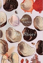 The Shore (Sara Taylor)