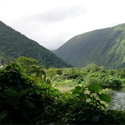 Waipi'o Valley, Hawaii (Predators)