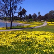 Lake Murry in La Mesa, California