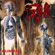 Lack of Comprehension - Death