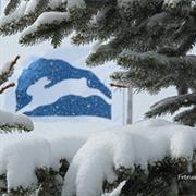 Snowshoe Mountain - Soak Up the View From 4,848 Feet Atop Snowshoe Mou