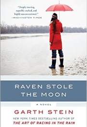 Raven Stole the Moon (Garth Stein)