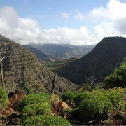 Day Forest National Park
