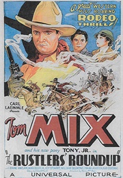 The Rustler's Roundup (1933)