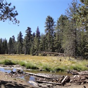 Mt. San Jacinto State Park, California