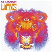Black Crowes Lions