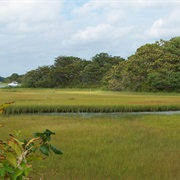Mashpee National Wildlife Refuge