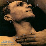 Pitchshifter - Desensitized