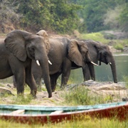 Nkhotakota Wildlife Reserve, Malawi