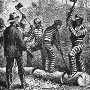 They Were Used as Government Labour