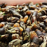 Percebes (Goose Barnacles)