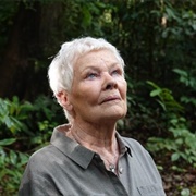 Judi Dench's Wild Borneo Adventure