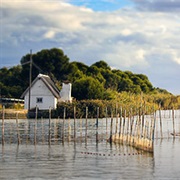 Albufera De Valencia, Spain
