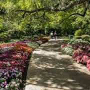 Harry P. Leu Gardens