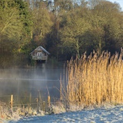 Winkworth Arboretum (NT)
