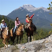Ride a Horse in the Rockies