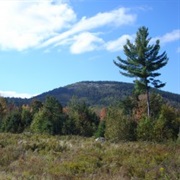 Great Pond Mountain