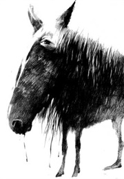 A New Horse (Alvin Schwartz)