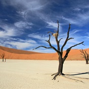 Deadvlei and Sossusvlei