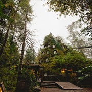 Magic Mountain Hotel, Huilo Huilo Reserve, Chile