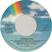 Agnes - Donnie Iris