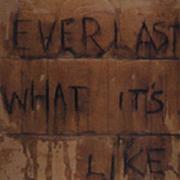 What It's Like - Everlast