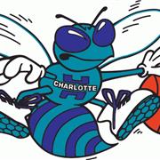 Charlotte Hornets
