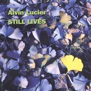 Marilyn Nonken / Ryuko Mizutani / Joseph Kubera Still Lives